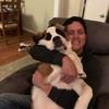 sltreddog12345